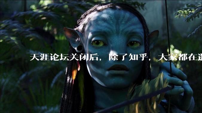 天涯论坛关闭后，除了知乎，大家都在逛什么？