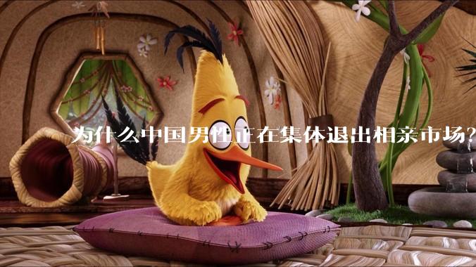 为什么中国男性正在集体退出相亲市场？
